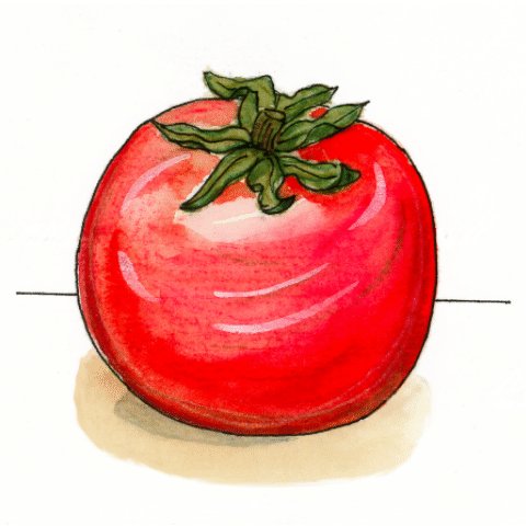 tomat.jpeg